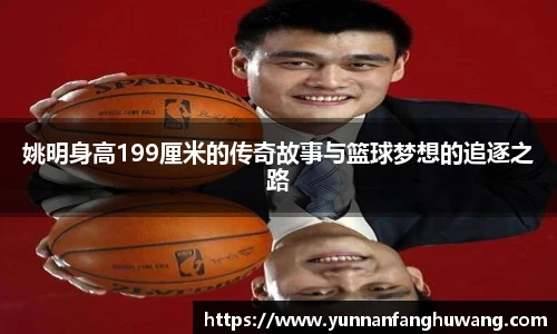 姚明身高199厘米的传奇故事与篮球梦想的追逐之路